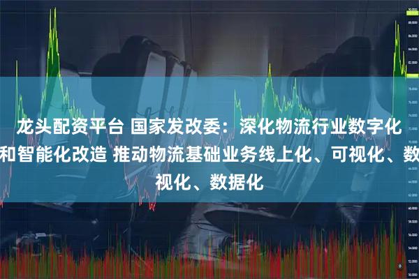 龙头配资平台 国家发改委:深化物流行业数字化转型和智能化改造 推动物流基础业务线上化、可视化、数据化
