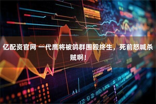 亿配资官网 一代鹰将被鸽群围殴终生，死前怒喊杀贼啊！
